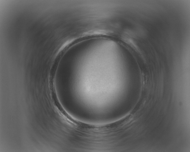 X0000053081404200507111232