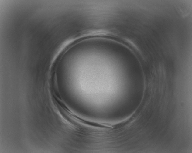 X0000053081414200507111232