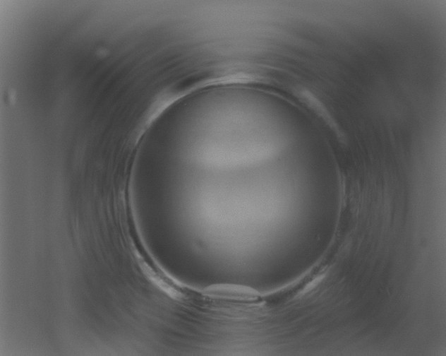 X0000053081417200507111232
