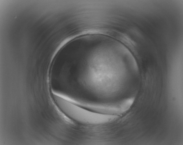 X0000053081428200507111233