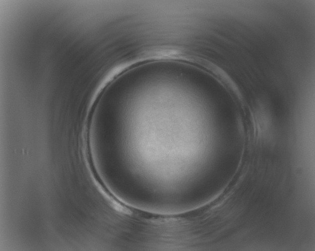 X0000053081432200507111233