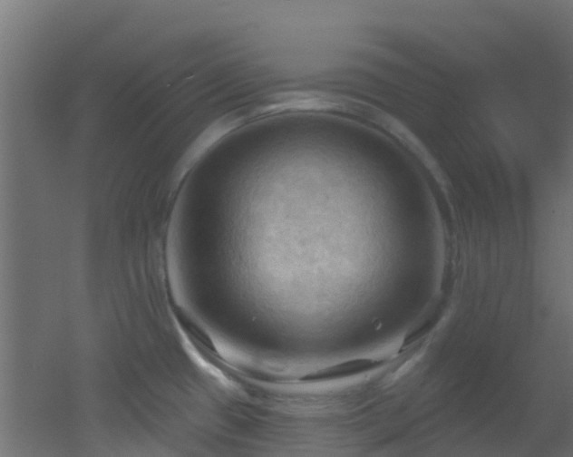 X0000053081433200507111233