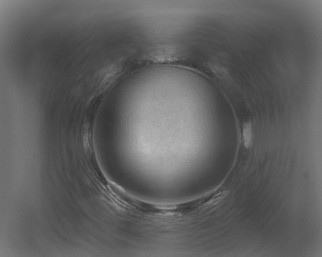 X0000053081444200507111232
