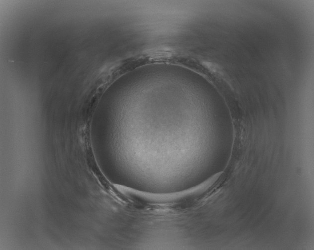 X0000053081445200507111232