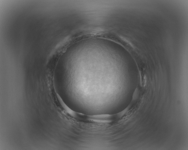 X0000053081447200507111232
