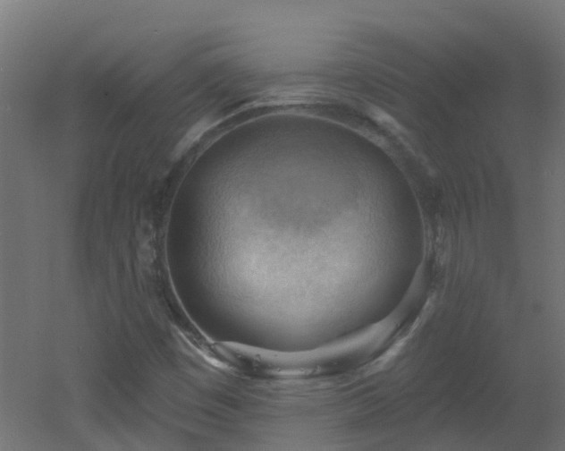 X0000053081449200507111232