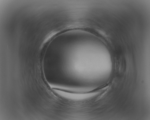 X0000053081453200507111232