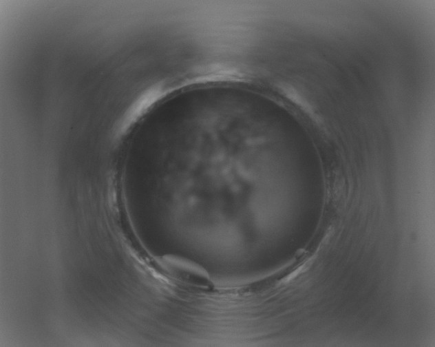 X0000053081455200507111232