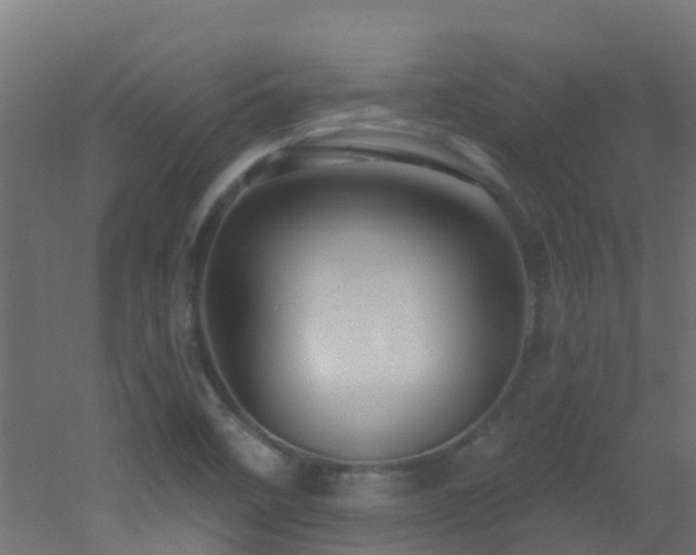 X0000053081458200507111232