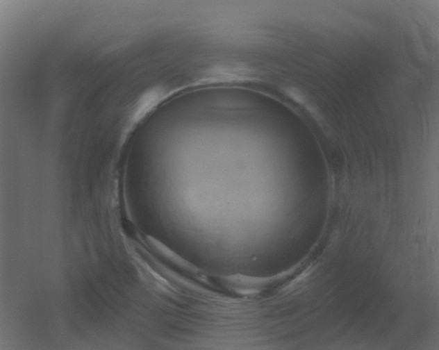 X0000053081459200507111232