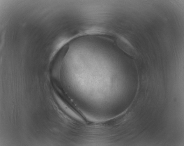 X0000053081461200507111232