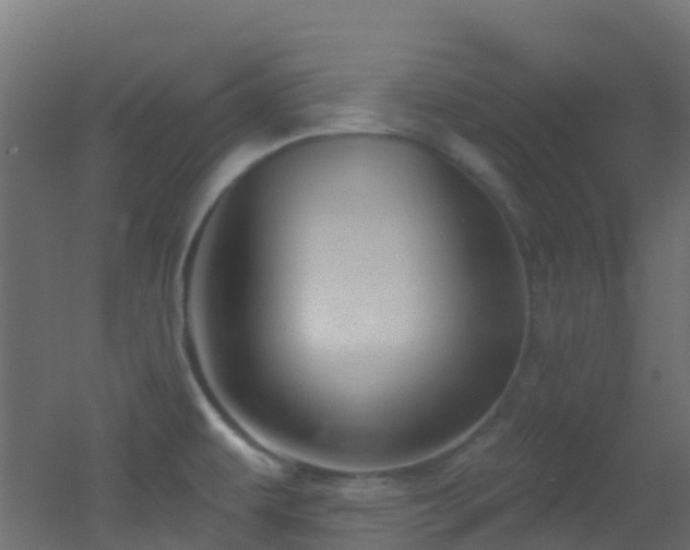 X0000053081479200507111231
