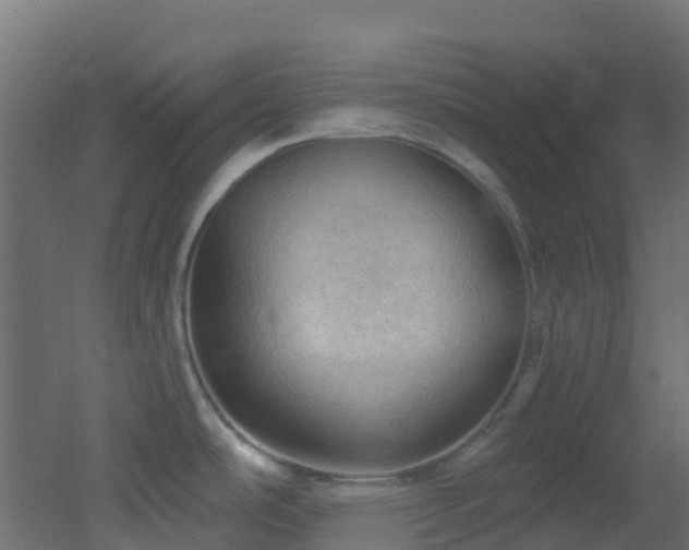 X0000053081486200507111231