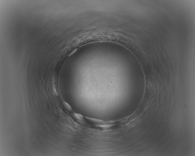 X0000053081490200507111230