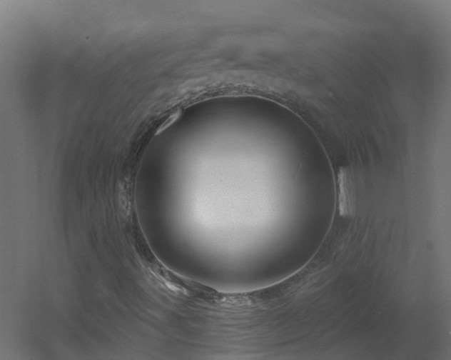 X0000053081491200507111230