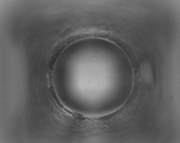 X0000053081493200507111230