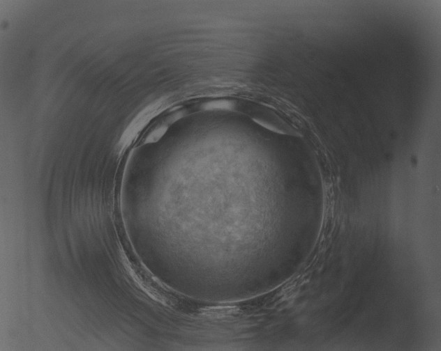 X0000053080051200507181703