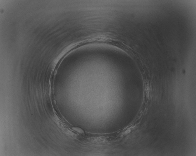 X0000053080100200507181703