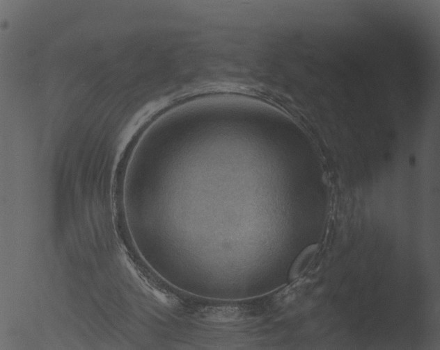 X0000053080104200507181703