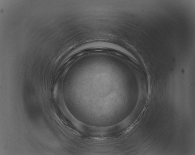 X0000053080154200507181701
