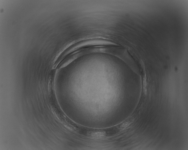 X0000053080156200507181701