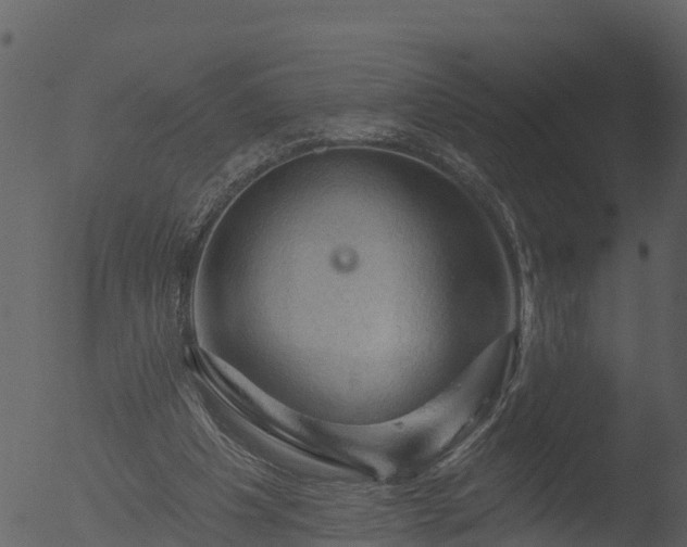 X0000053080201200507181701