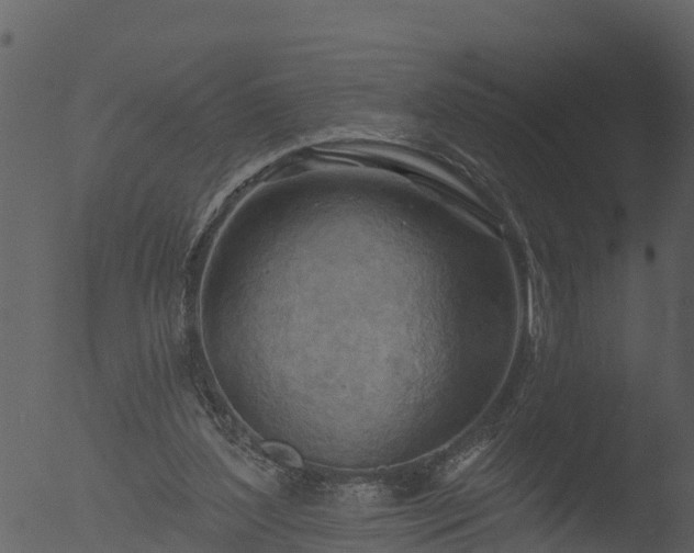 X0000053080204200507181701