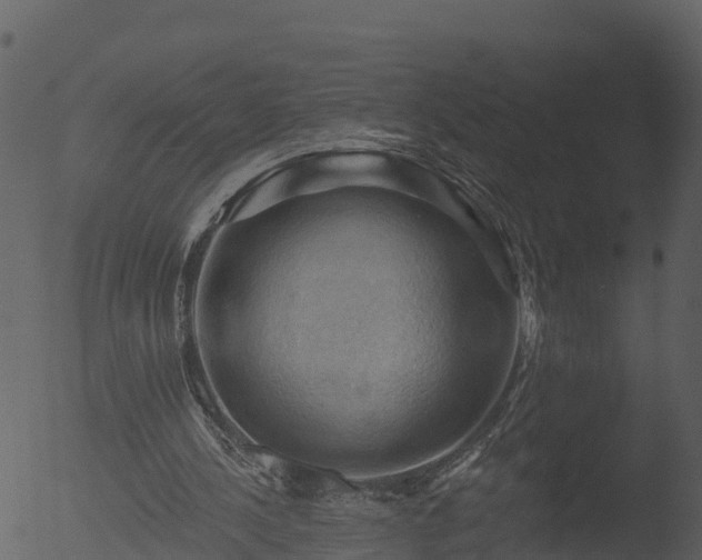 X0000053080244200507181700