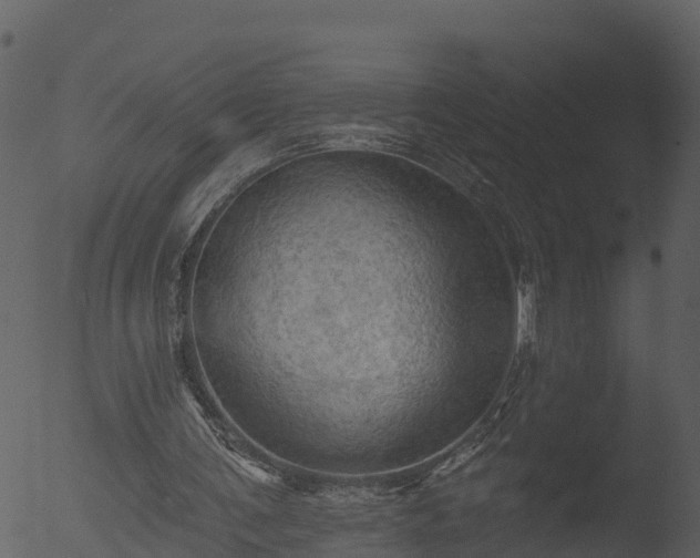 X0000053080291200507181659