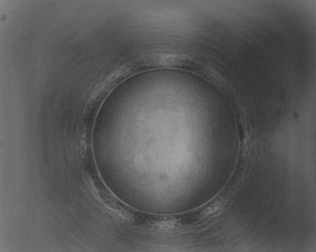 X0000053080306200507181659