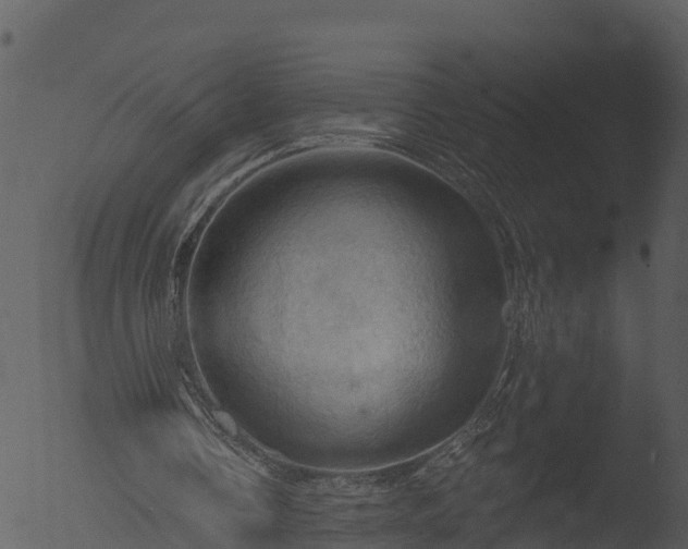 X0000053080338200507181658