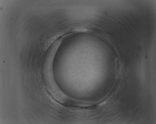 X0000053080385200507181658