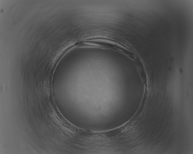 X0000053080386200507181658