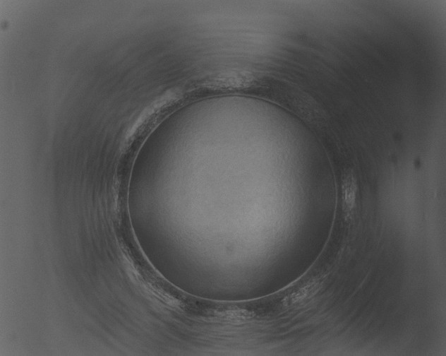 X0000053080396200507181658