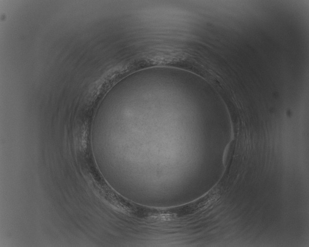 X0000053080499200507181656