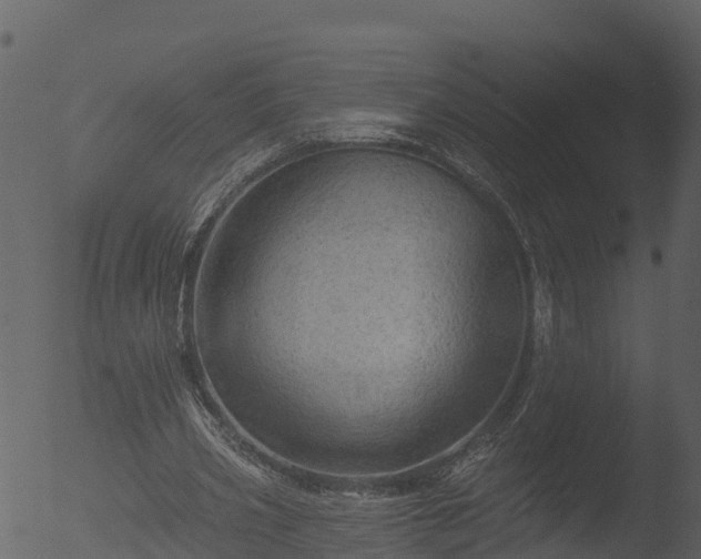 X0000053080533200507181655
