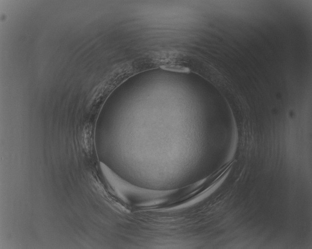 X0000053080601200507181654