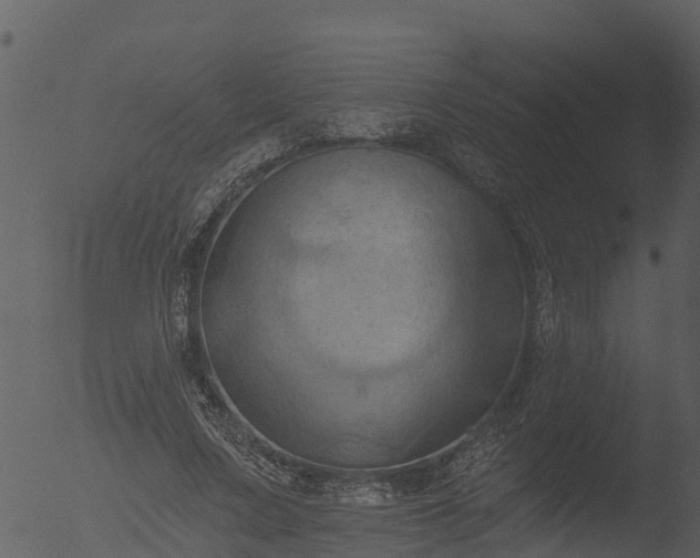X0000053080683200507181653