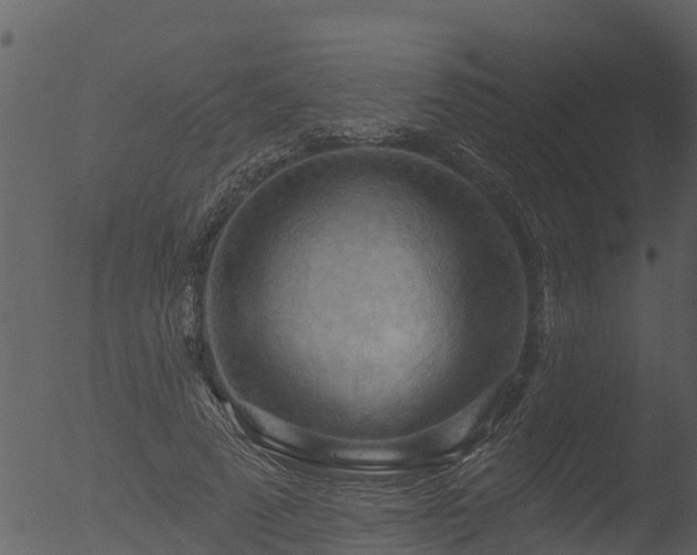 X0000053080689200507181653