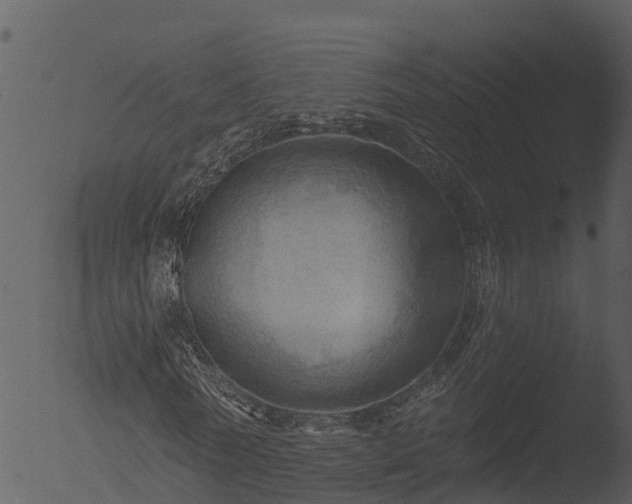 X0000053080770200507181651