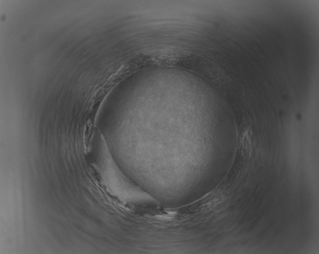 X0000053080772200507181651