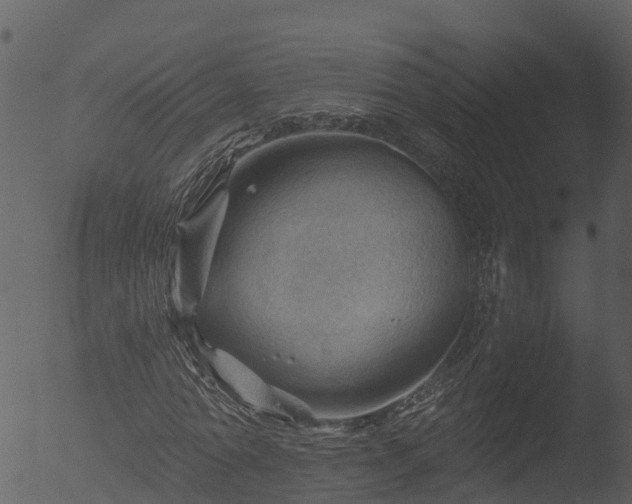 X0000053080774200507181651