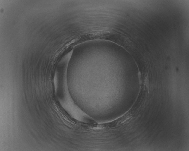 X0000053080868200507181650