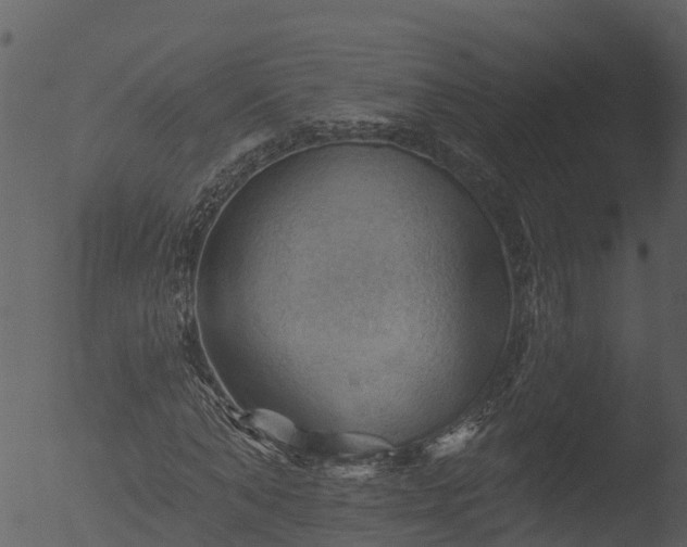 X0000053080870200507181650