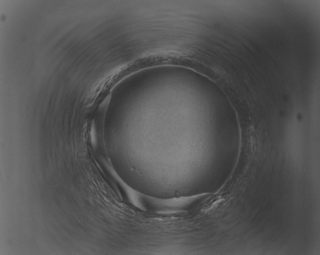 X0000053080872200507181650