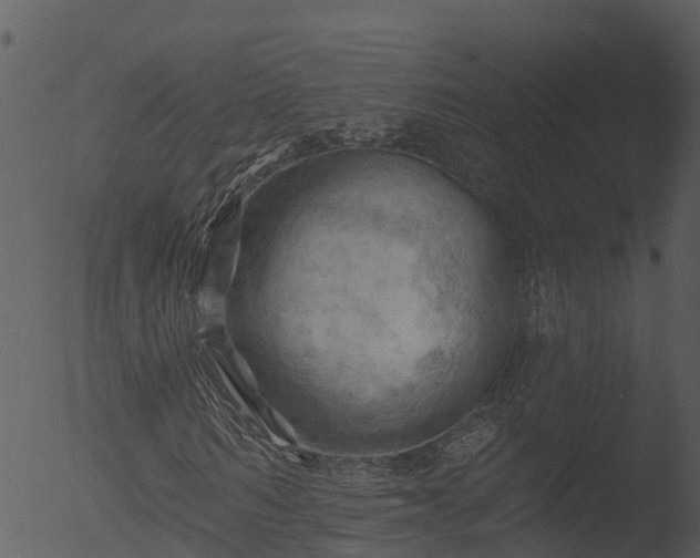 X0000053080962200507181648