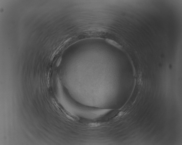 X0000053081108200507181645