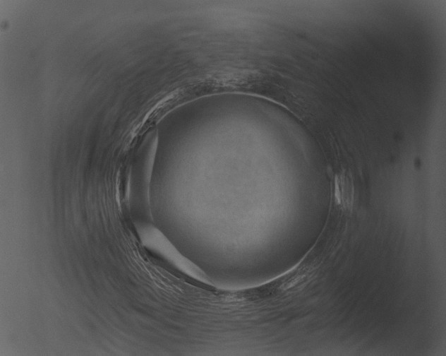 X0000053081155200507181645