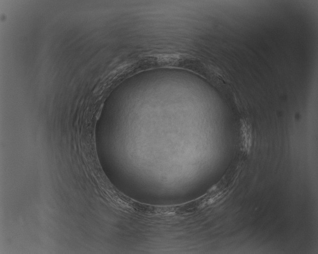X0000053081249200507181643