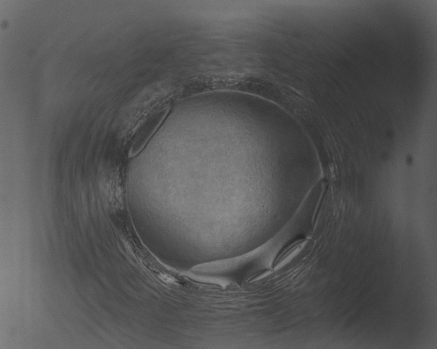 X0000053081252200507181643